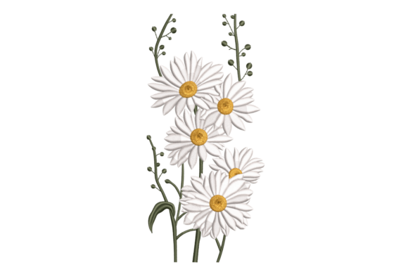Daisy Bouquet – Classic Floral Review
