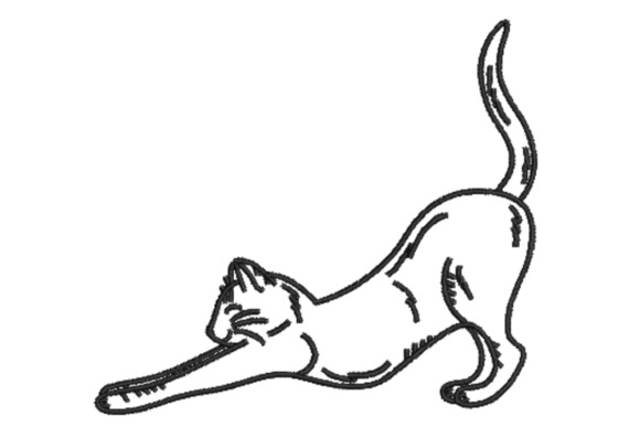 Stretching Cat Machine: A Designer's Review